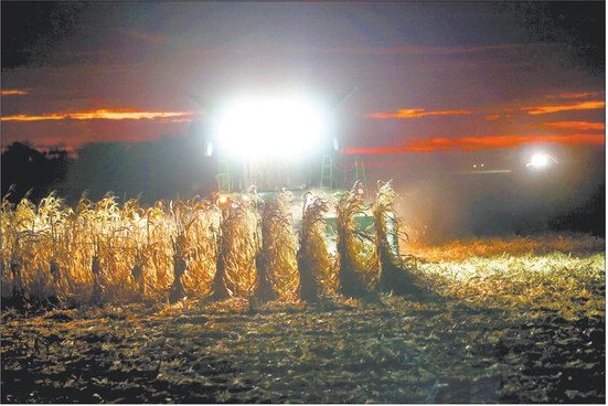 A Tipton County farmer harvests corn late Monday evening. Most Hoosier farmers will have good enough yields and high enough prices to make a profit this year, despite the fact their cost increases are double the national inflation rate of 8.2%. Tim Bath | CNHI News Service