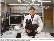 Purdue researcher's efforts aimed at early detection of canine cancer