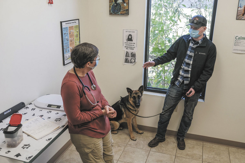 Dr. Jennifer Clarke sees patient Kenai at Hillview Veterinary Clinic in Franklin with its owner, Landon Carter. (IBJ photo/Eric Learned)