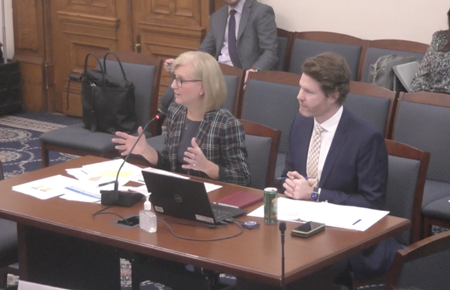State Health Commissioner Kris Box, left, and Shane Hatchett, the health department’s chief of staff, present their funding needs before the State Budget Committee on Dec. 14 in Indianapolis. (Screenshot of committee livestream)