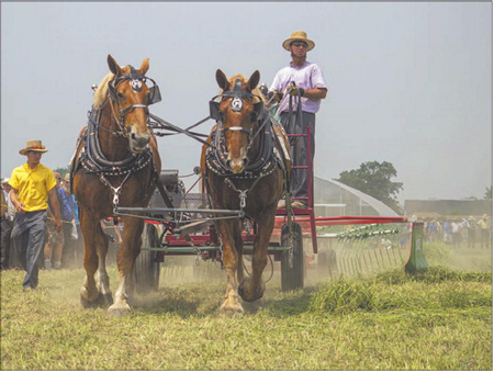 A demonstration of horse-drawn farming equipment is given during the Horse Progress Days at the Michiana Event Center in Shipshewana Friday. Photo by Joseph Weiser | The Goshen News