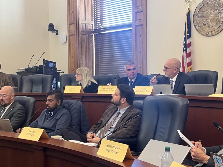 Indiana’s Interim Study Committee on Commerce and Economic Development met on Wednesday, Nov. 1, 2023, at the Statehouse to discuss cannabis policy. (Whitney Downard/Indiana Capital Chronicle)