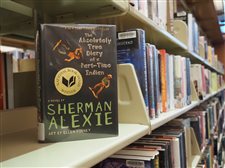 Obscene, or just objectionable? Here’s how Indiana schools are tackling library book complaints
