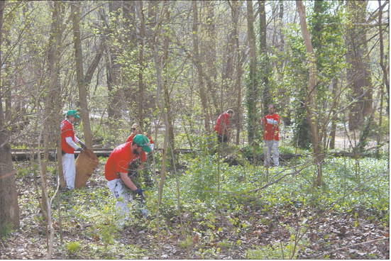 Volunteers with the Blazing Stars CISMA in Columbus clear out invasive species from woodlands in Mill Race Park. Photo provided by Blazing Stars