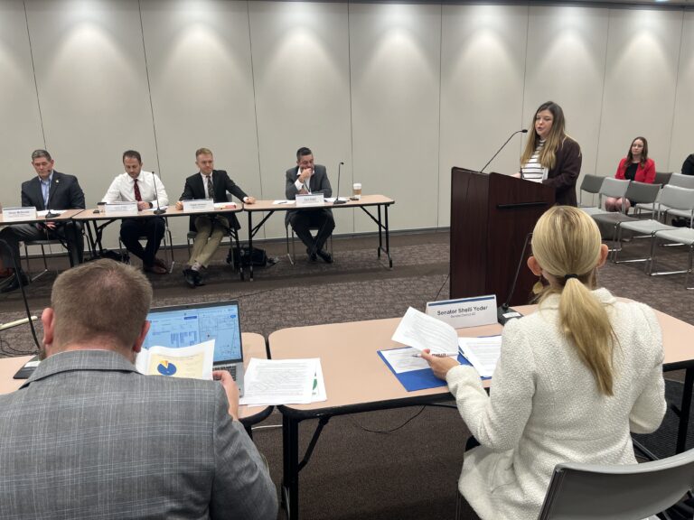 Deputy Director Shelby Thomas, with the Office of Drug Prevention, Treatment and Enforcement, presents before a state committee on Nov. 14, 2024. (Whitney Downard/Indiana Capital Chronicle)