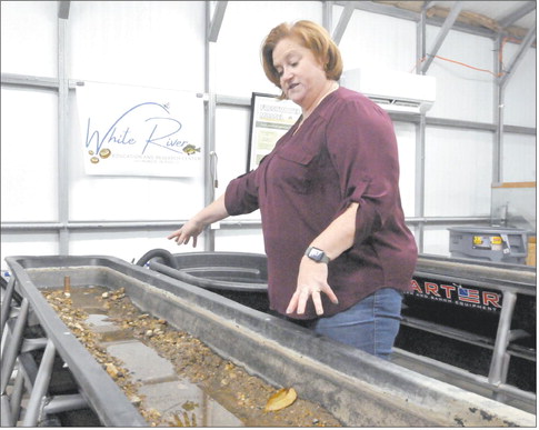 Laura Bowley, surveillance supervisor for the Bureau of Water Quality at the Muncie Sanitary District, shows a tank filled with natural river water that mature freshwater mussels will be placed in before being released into the wild. Caleb Amick | The Herald Bulletin