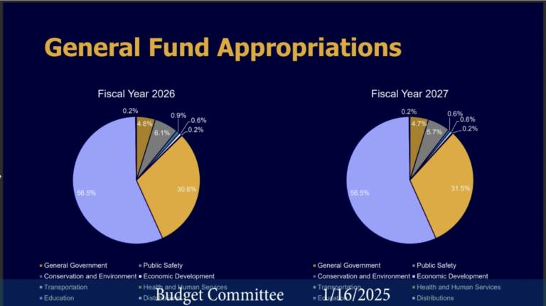 The state budget, broken into categories, shared by Gov. Mike Braun’s team before lawmakers on Jan. 16, 2025. (Whitney Downard/Indiana Capital Chronicle)