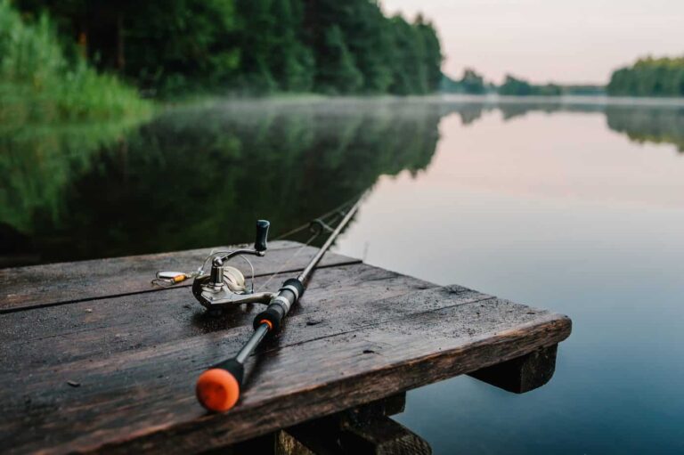 Indiana lawmakers are considering a bill that would restrict how minnows are collected from the state’s waterways. (Getty Images)