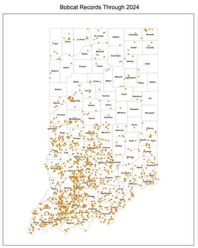 A map showing where bobcats have been sighted throughout the state. Courtesy of Indiana DNR