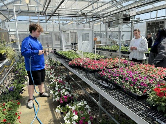 Greenfield-Central High School students have plenty of control over their projects and the greenhouse through the school’s FFA program. Submitted photo
