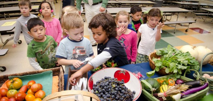Indiana will no longer participate in a program to feed schoolchildren through direct family payments during summer vacation. Photo by Lance Cheung for the USDA