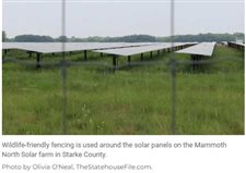 Proponents of Mammoth North Solar in Starke County pushes back against opposition with 'agrivoltaics'