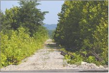 Nearly 300 Southern Indiana landowners eligible for compensation through Monon South Trail class action lawsuit