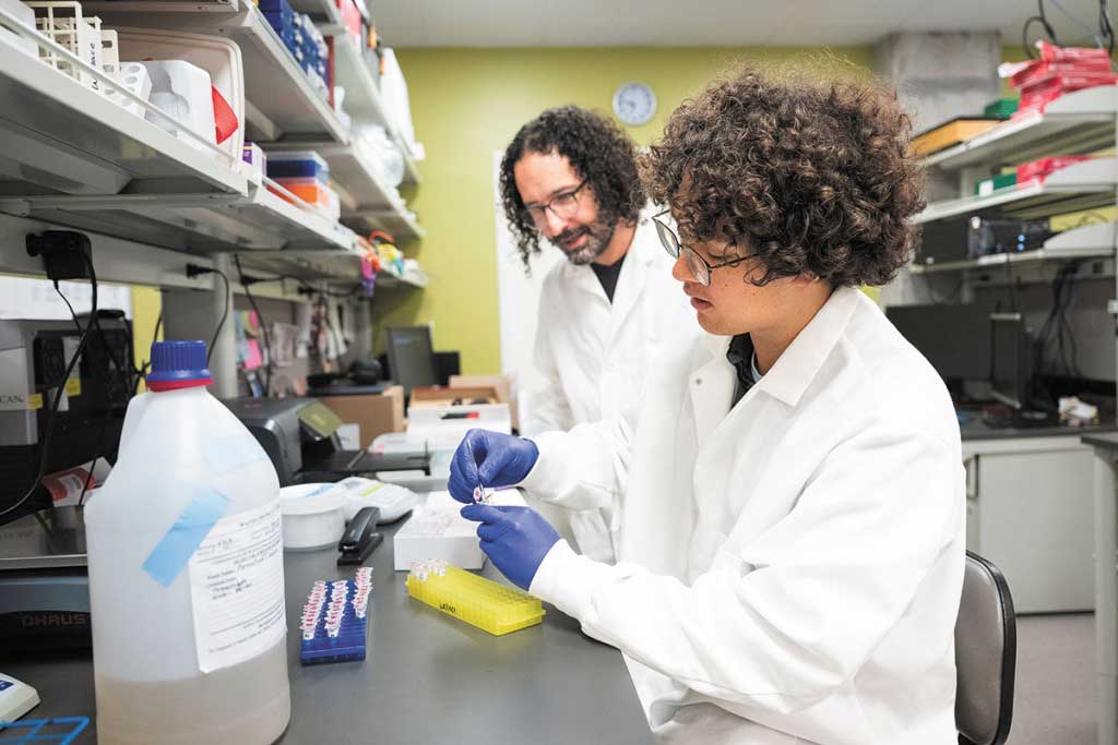 Purdue student Carl Russell performs a test on a mouse bone as Purdue professor Joseph Wallace observes. (IBJ photos/Chad Williams)