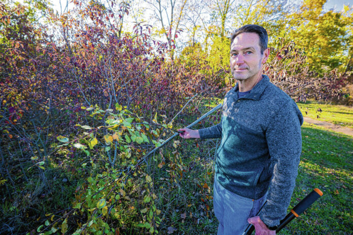Brian Muckerheide stands by recently cut Bradford pear trees, which are growing along North Broadway in Greenfield. Tom Russo | Daily Reporter