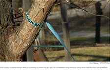 Utility, residents disagree on need to cut trees